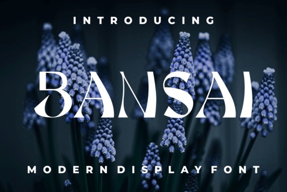 Bansai: A Bold, Playful Display Font for Modern Designers