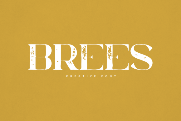 Brees: An Elegant Display Font for Standout Branding