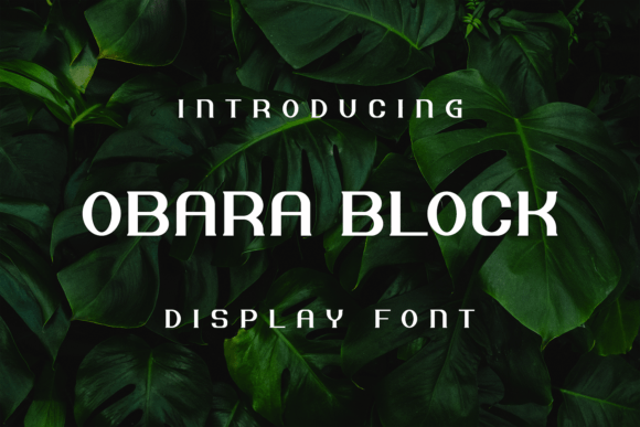 Obara Block: A Display Font That Makes Your Headlines Unmissable