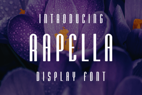 Rapella Display Font for Handmade Product Design